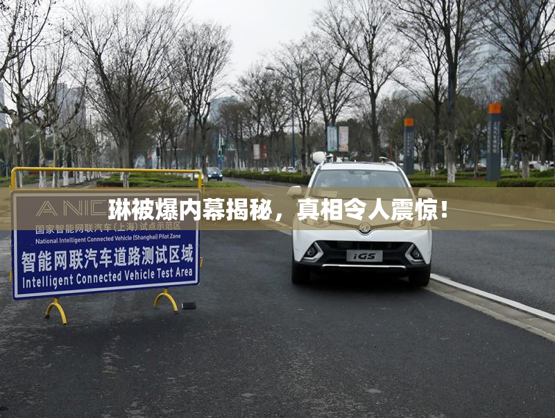 琳被爆内幕揭秘，真相令人震惊！
