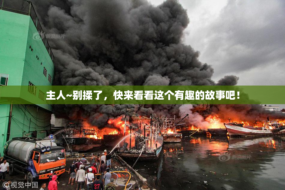 主人~别揉了，快来看看这个有趣的故事吧！