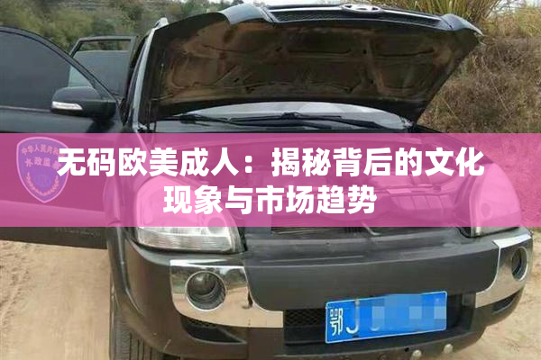 无码欧美成人：揭秘背后的文化现象与市场趋势