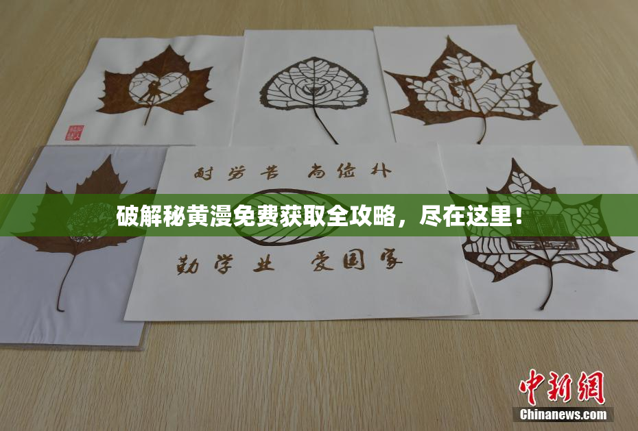 破解秘黄漫免费获取全攻略，尽在这里！