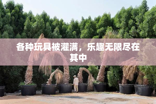 各种玩具被灌满，乐趣无限尽在其中