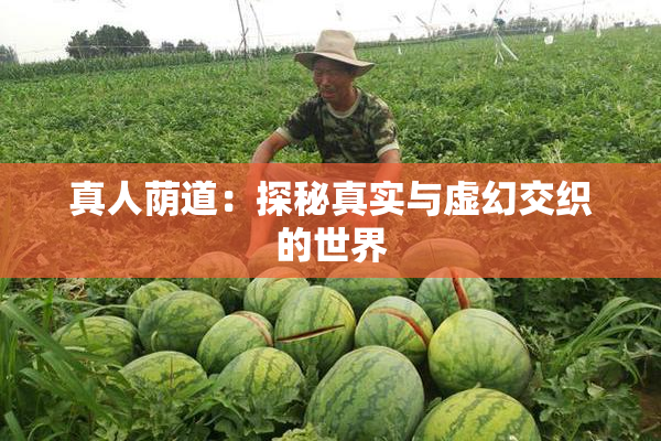 真人荫道：探秘真实与虚幻交织的世界