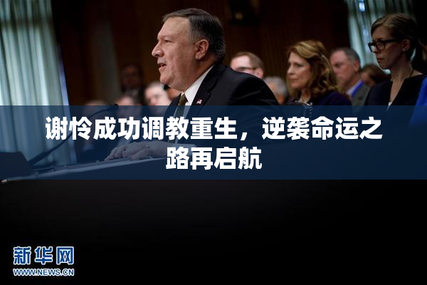 谢怜成功调教重生，逆袭命运之路再启航