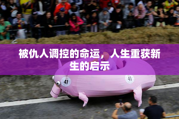 被仇人调控的命运，人生重获新生的启示