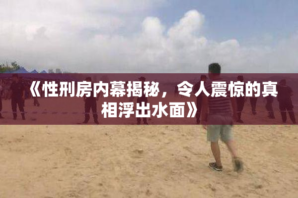 《性刑房内幕揭秘，令人震惊的真相浮出水面》