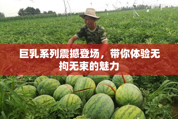 巨乳系列震撼登场，带你体验无拘无束的魅力