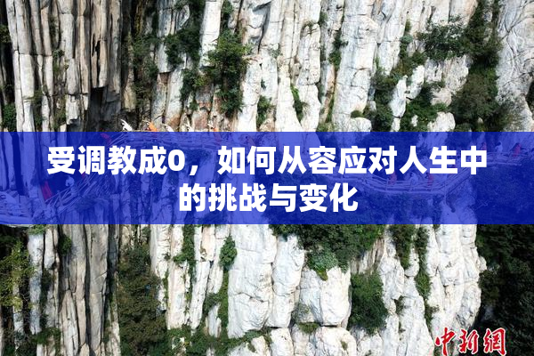 受调教成0，如何从容应对人生中的挑战与变化