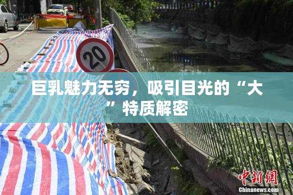 巨乳魅力无穷，吸引目光的“大”特质解密
