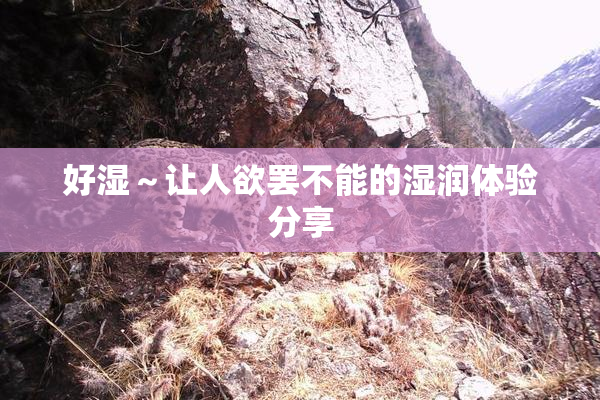 好湿～让人欲罢不能的湿润体验分享