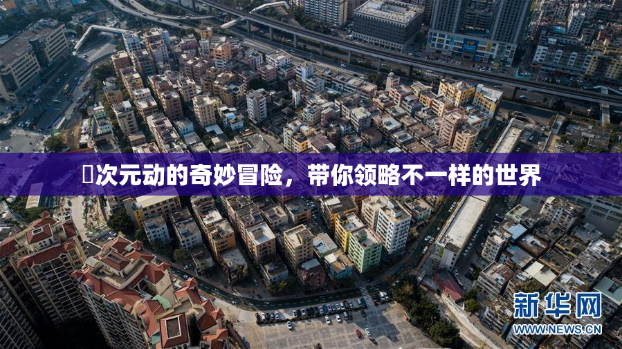 囧次元动的奇妙冒险，带你领略不一样的世界