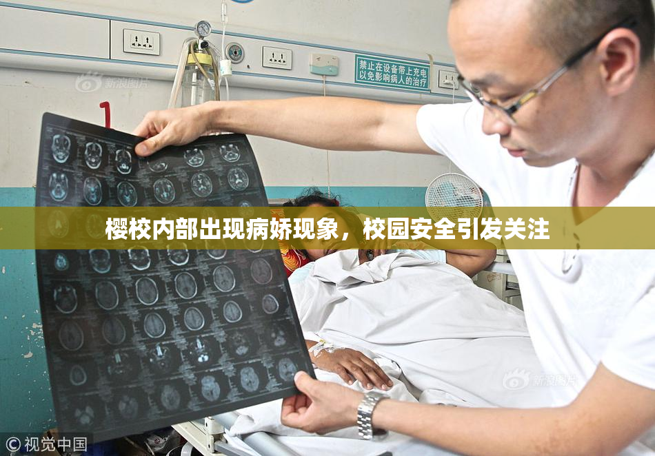 樱校内部出现病娇现象，校园安全引发关注