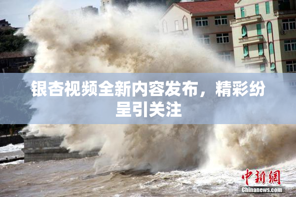 银杏视频全新内容发布，精彩纷呈引关注