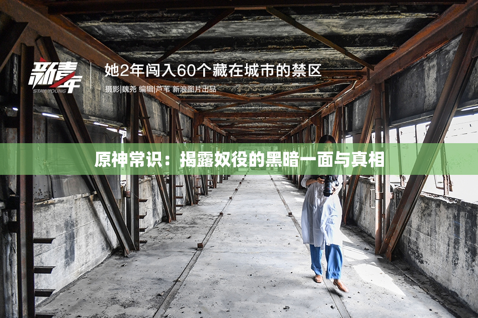 原神常识：揭露奴役的黑暗一面与真相