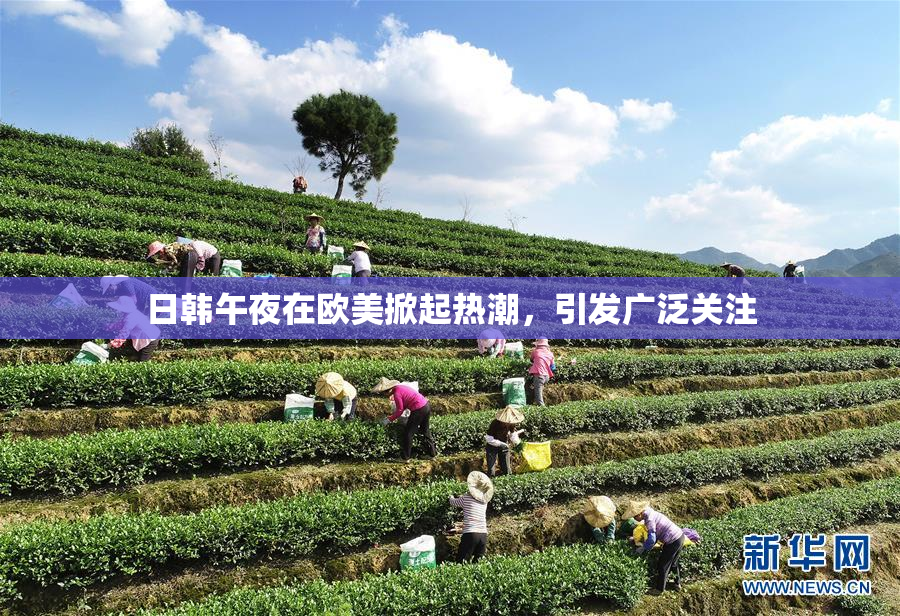 日韩午夜在欧美掀起热潮，引发广泛关注