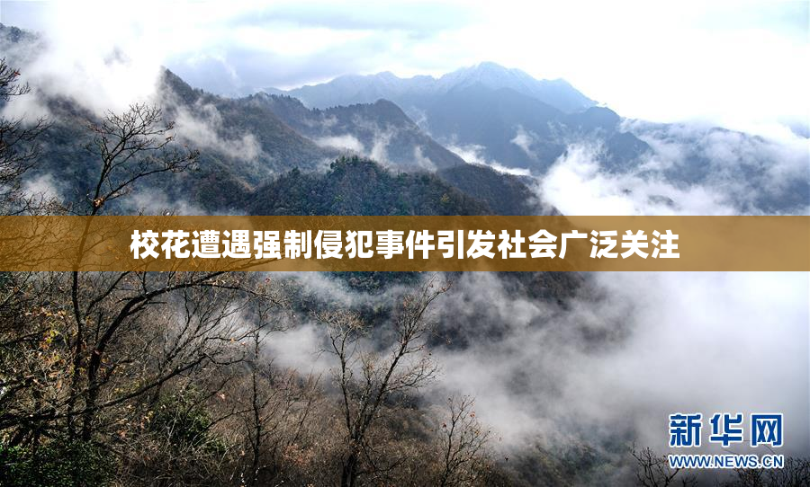 校花遭遇强制侵犯事件引发社会广泛关注