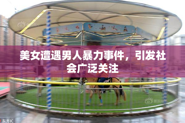 美女遭遇男人暴力事件，引发社会广泛关注