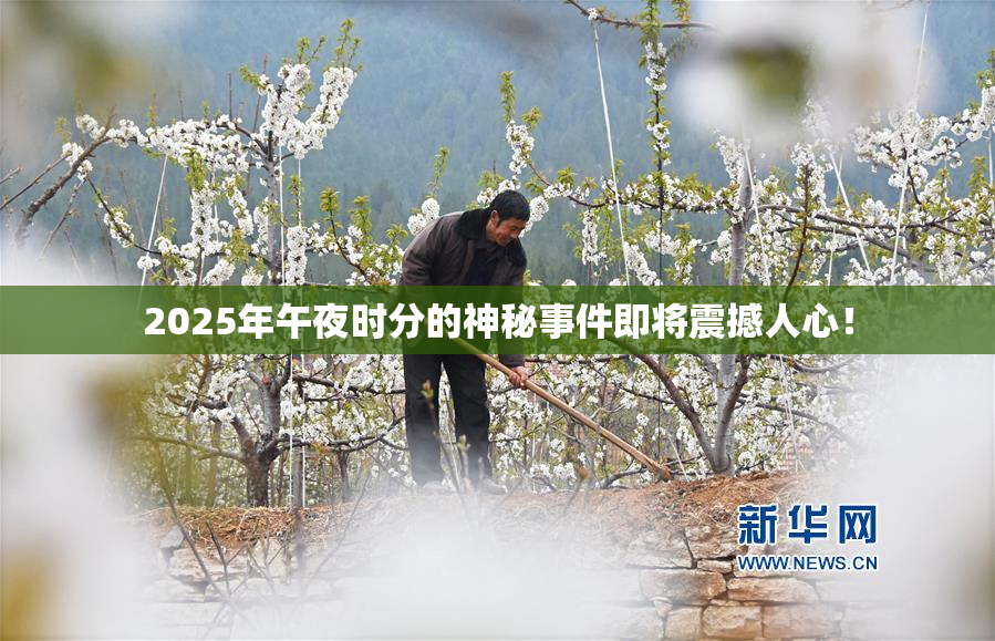 2025年午夜时分的神秘事件即将震撼人心！