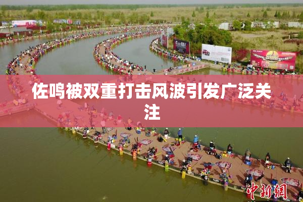 佐鸣被双重打击风波引发广泛关注