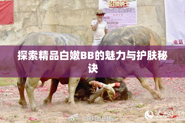 探索精品白嫩BB的魅力与护肤秘诀