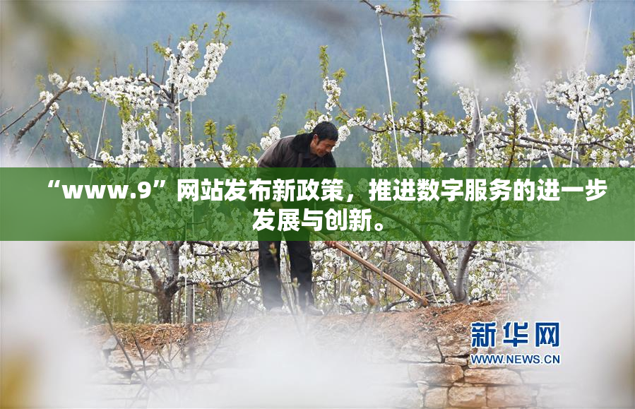 “www.9”网站发布新政策，推进数字服务的进一步发展与创新。