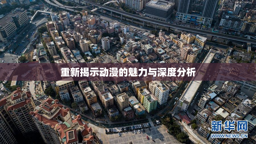 重新揭示动漫的魅力与深度分析