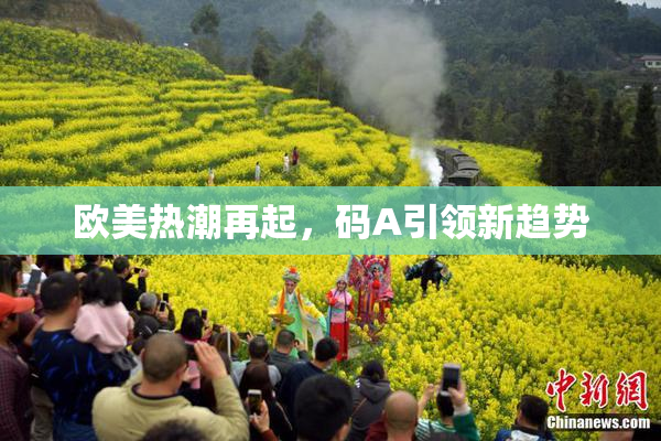 欧美热潮再起，码A引领新趋势