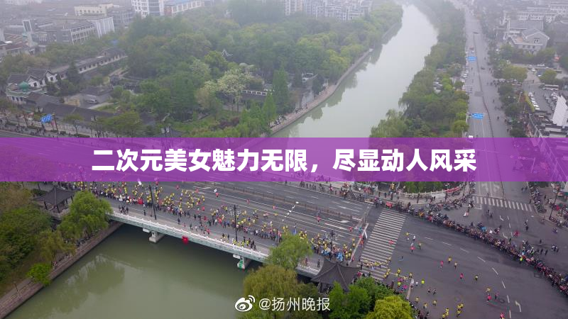 二次元美女魅力无限，尽显动人风采