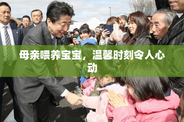 母亲喂养宝宝，温馨时刻令人心动
