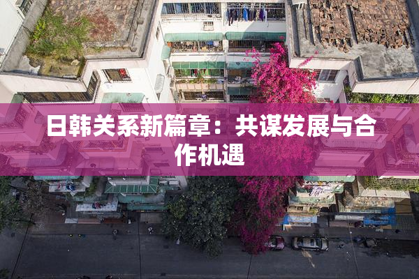 日韩关系新篇章：共谋发展与合作机遇