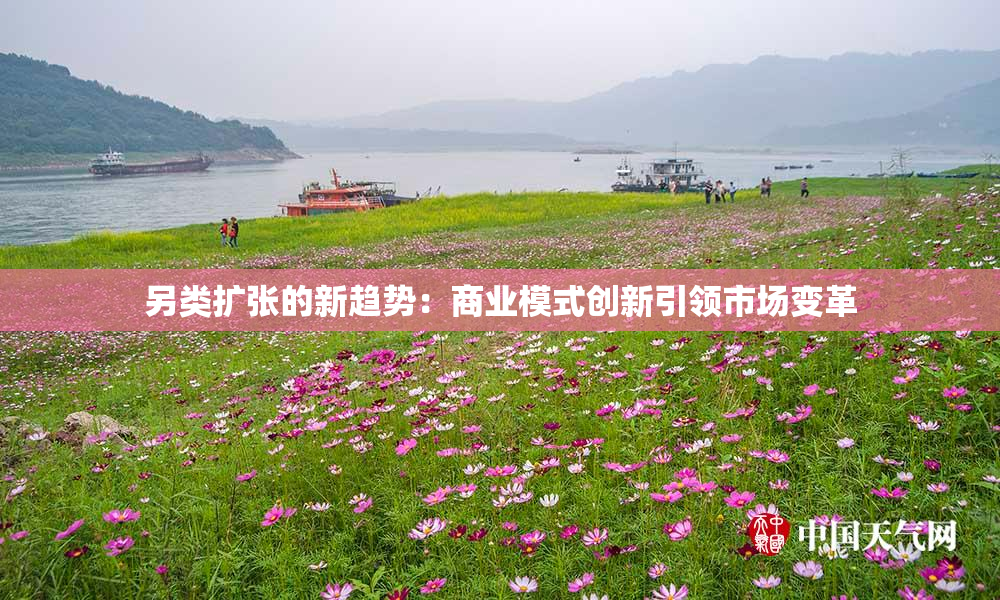 另类扩张的新趋势：商业模式创新引领市场变革