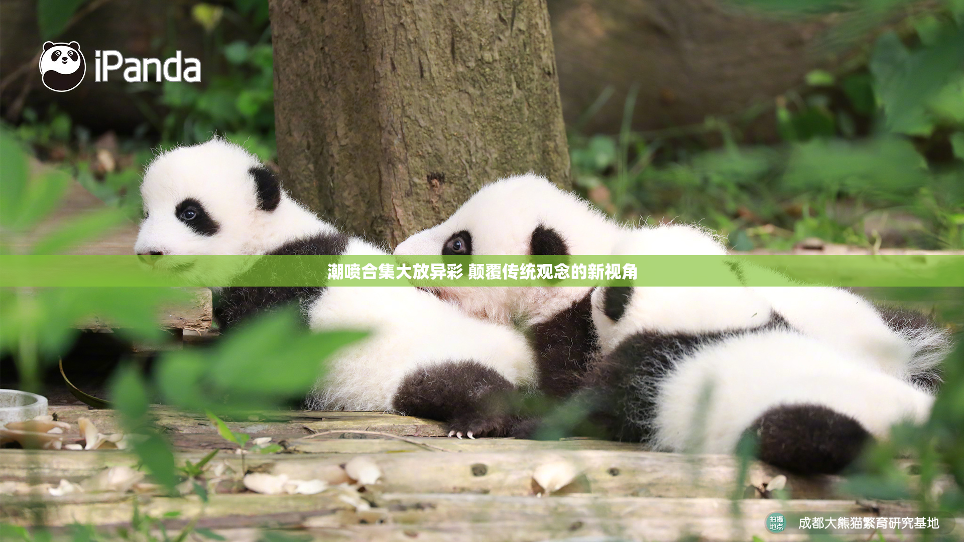潮喷合集大放异彩 颠覆传统观念的新视角