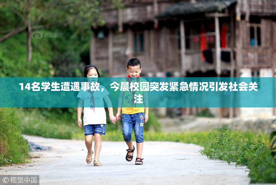 14名学生遭遇事故，今晨校园突发紧急情况引发社会关注