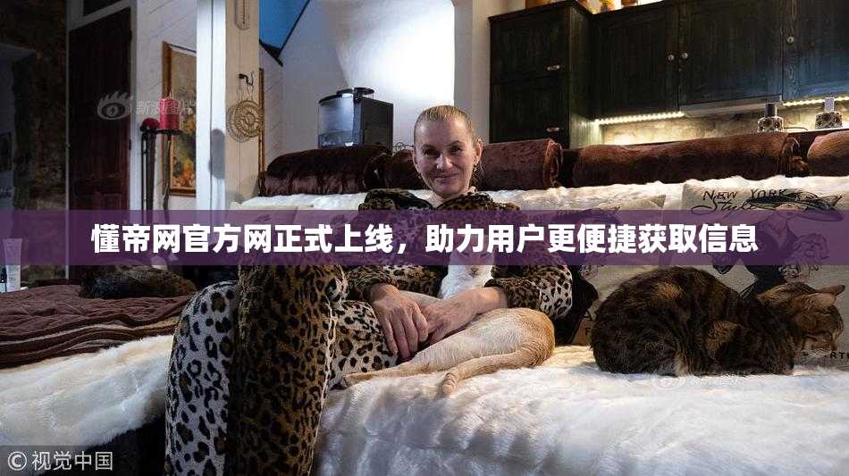 懂帝网官方网正式上线，助力用户更便捷获取信息