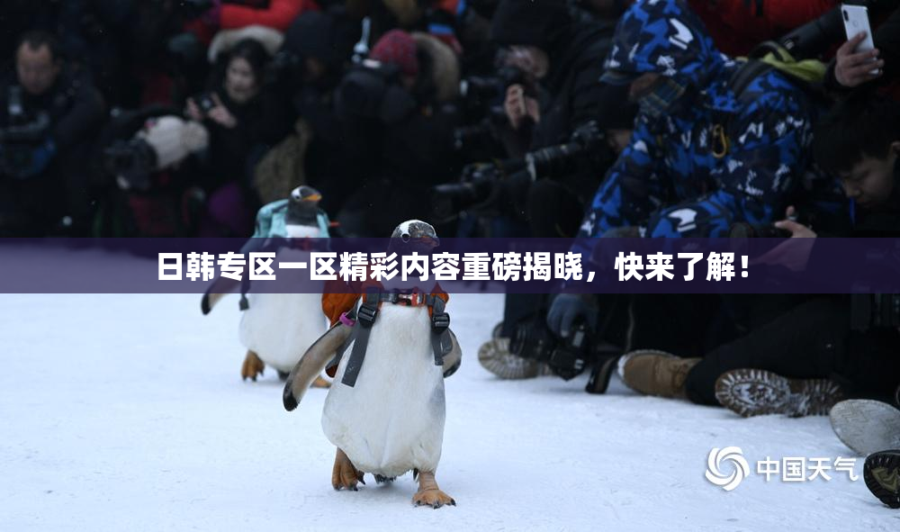 日韩专区一区精彩内容重磅揭晓，快来了解！