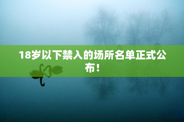 18岁以下禁入的场所名单正式公布！