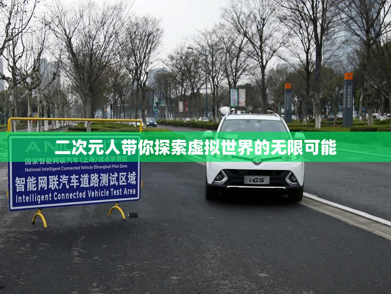 二次元人带你探索虚拟世界的无限可能