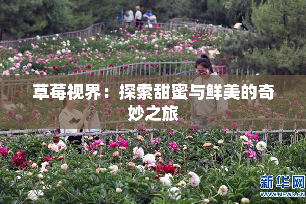 草莓视界：探索甜蜜与鲜美的奇妙之旅