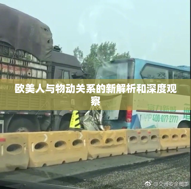 欧美人与物动关系的新解析和深度观察
