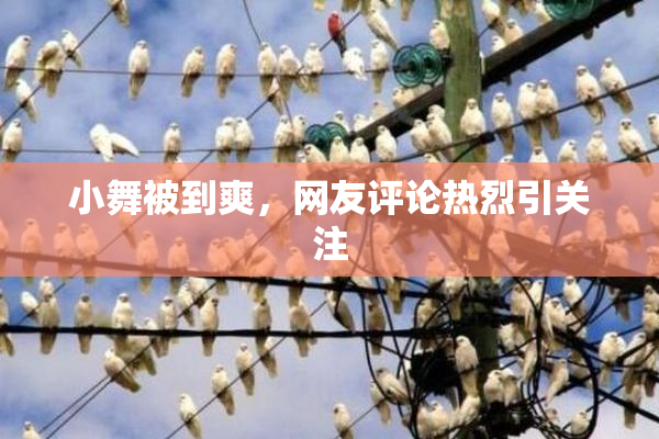 小舞被到爽，网友评论热烈引关注