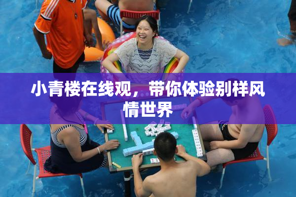 小青楼在线观，带你体验别样风情世界