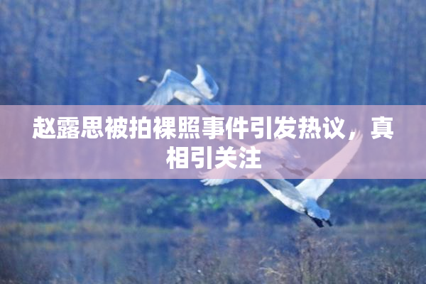 赵露思被拍裸照事件引发热议，真相引关注