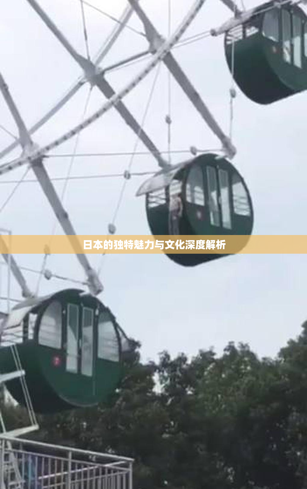日本的独特魅力与文化深度解析