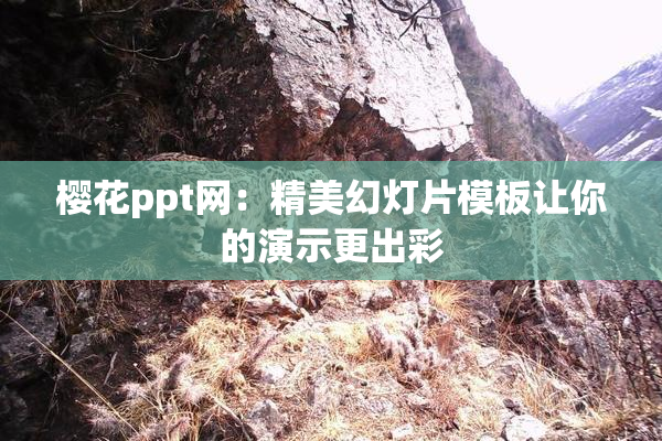 樱花ppt网：精美幻灯片模板让你的演示更出彩