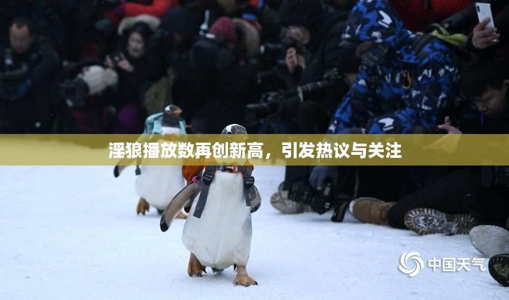 淫狼播放数再创新高，引发热议与关注
