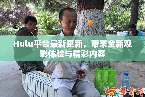 Hulu平台最新更新，带来全新观影体验与精彩内容