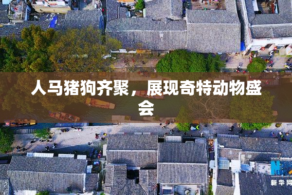 人马猪狗齐聚，展现奇特动物盛会