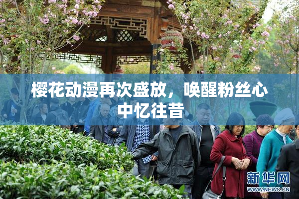 樱花动漫再次盛放，唤醒粉丝心中忆往昔
