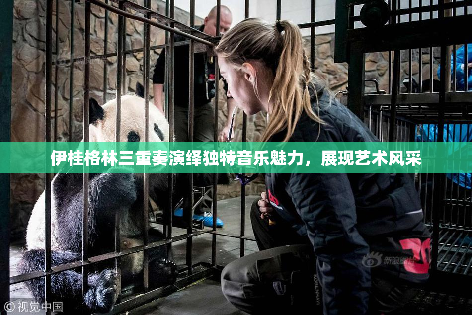 伊桂格林三重奏演绎独特音乐魅力，展现艺术风采