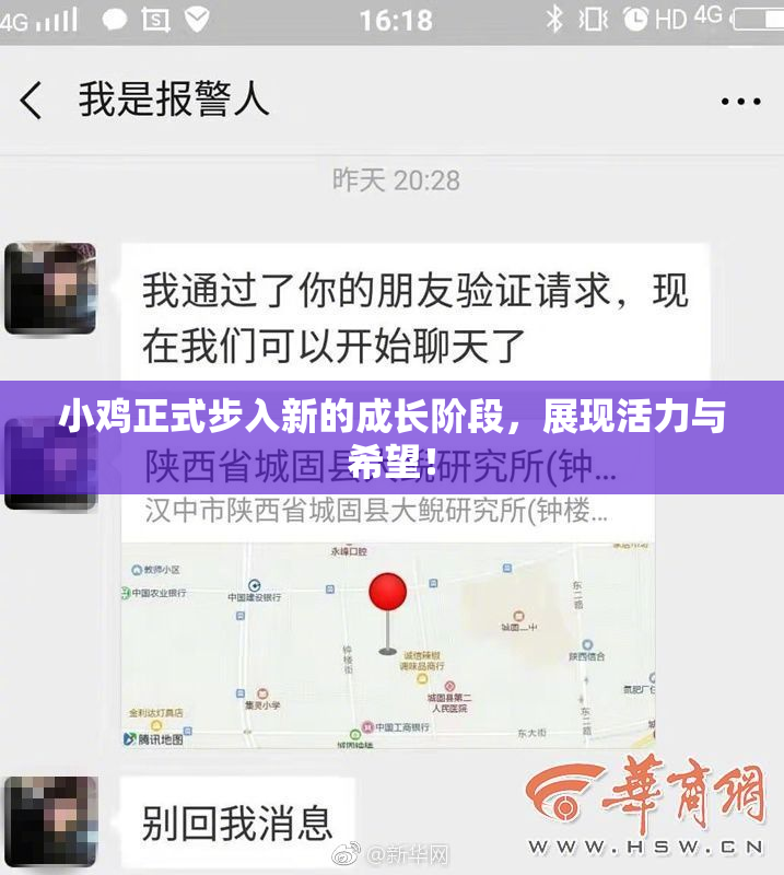 小鸡正式步入新的成长阶段，展现活力与希望！
