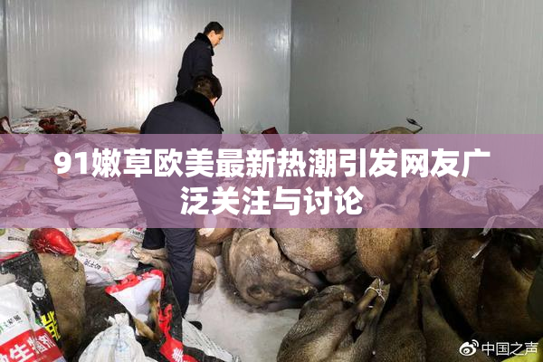 91嫩草欧美最新热潮引发网友广泛关注与讨论